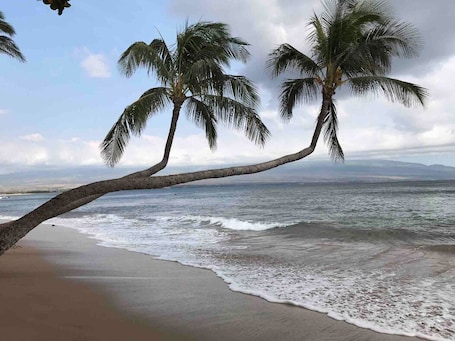 On the beach, sun loungers, beach towels. VIEWS VIEWS VIEWS ~ Bliss on the Bay