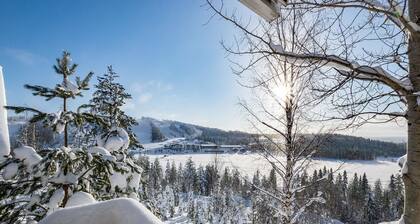 Aurinkoalppi 11a paritalon yläkerta by Interhome