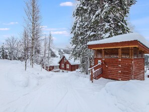 Ulkopuoli