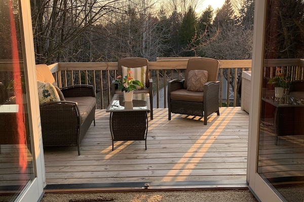 Deck zone with grill and space under the Maples 🍁