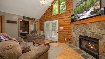 Smart-TV, Kamin, DVD-Player, Videothek