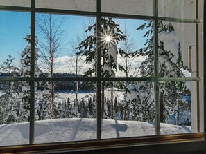 Une vue par la fenêtre sur un paysage enneigé, avec des arbres et un ciel dégagé.