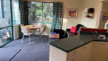 TV, fireplace, DVD player, books