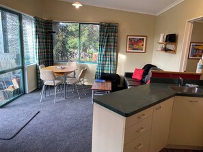 TV, fireplace, DVD player, books