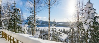 Aurinkoalppi 10b paritalo by Interhome