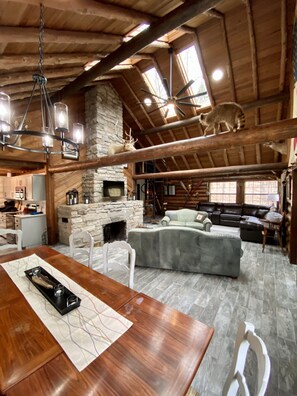 Smart TV, fireplace, books, stereo