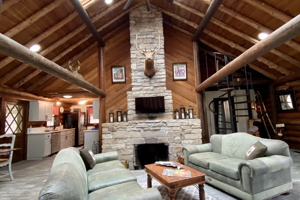 TV connectée, cheminée, livres, chaßne hi-fi