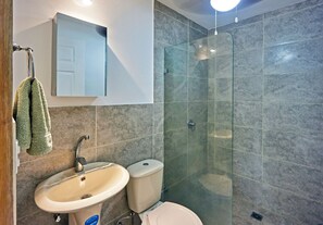 Shower, bidet, towels, toilet paper