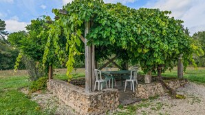 A pergola covered with green vines, a table, and chairs in a garden setting.