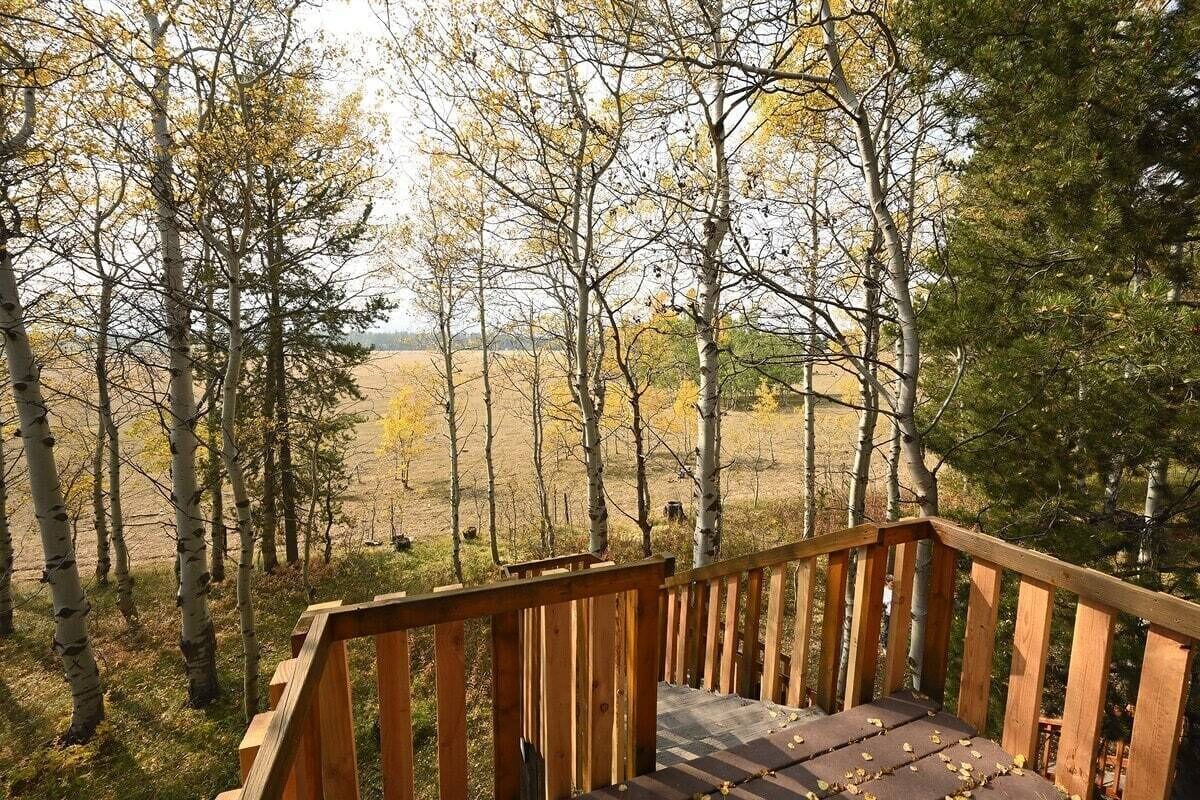 Una terraza de madera con vista a un bosque y un campo abierto.