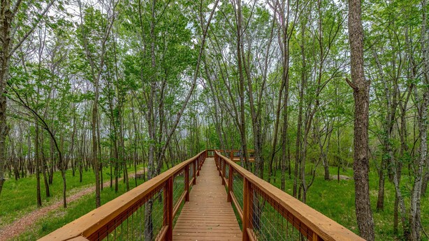 A wooden boardwalk through a forest. - GrandLake*Kayak*Forest View*Firepit*King*Lakefront (Grove)