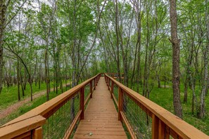 Walk along the winding boardwalk through the forest, surrounded by lush trees and a carpet of grass and leaves.