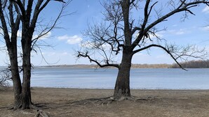 Escena junto a un lago con dos árboles sin hojas y una orilla arenosa.