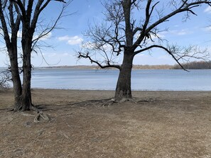 A lakeside scene with two leafless trees and a sandy shore. - GrandLake*Kayak*ForestView*Firepit*Kings*Lakefront (Grove)