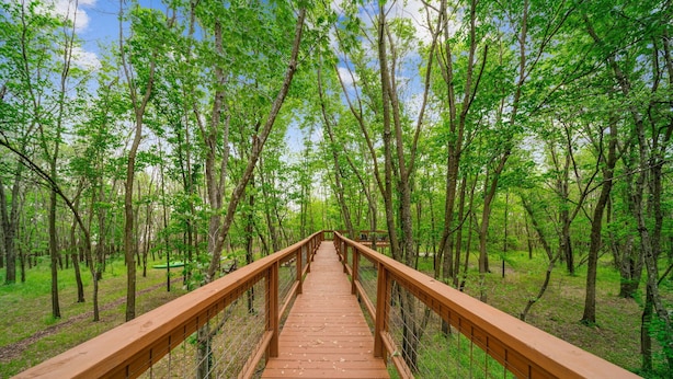 A wooden bridge in a forest with a metal railing and a clear sky.