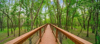 GrandLake*Kayak*ForestView*Firepit*Kings*Lakefront