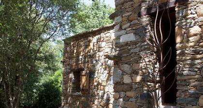 U Filanciu maison en pierres au coeur du vignoble de Patrimonio
