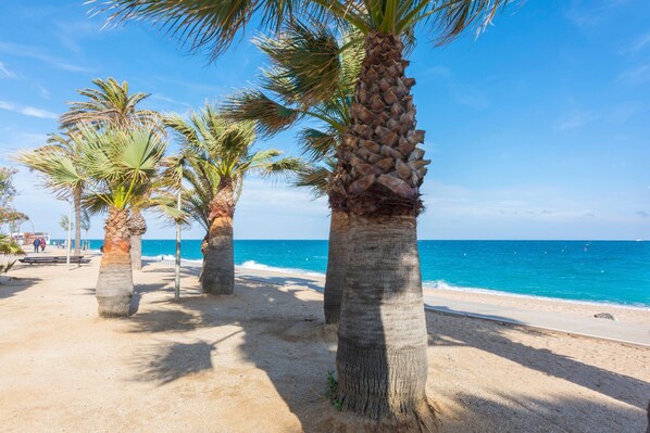 Beach nearby - HomeHolidaysRentals Destan - Costa Barcelona (Pineda de Mar)