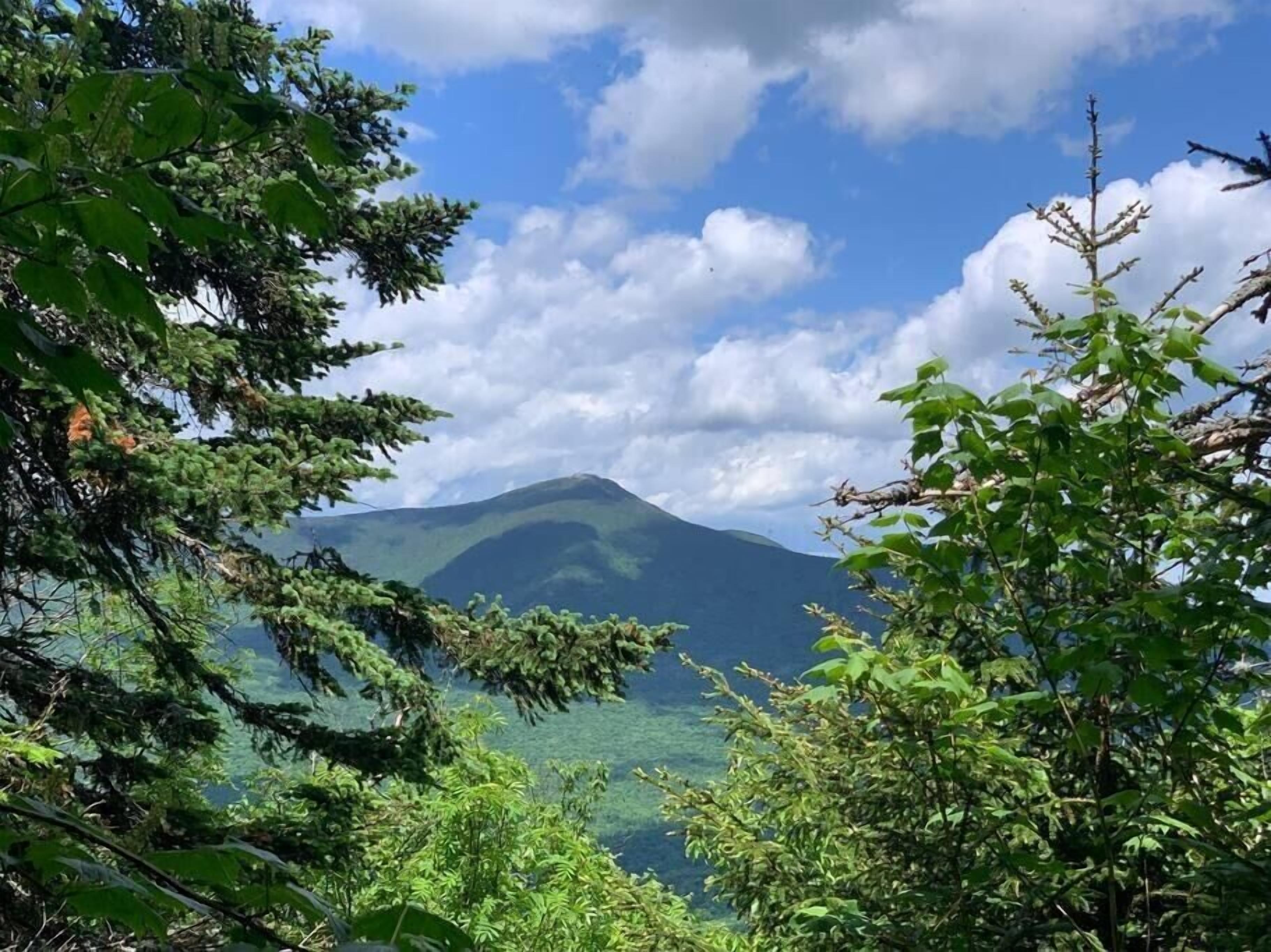 A mountain landscape with dense foliage in the foreground and a clear sky.