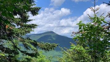 A mountain landscape with dense foliage in the foreground and a clear sky.