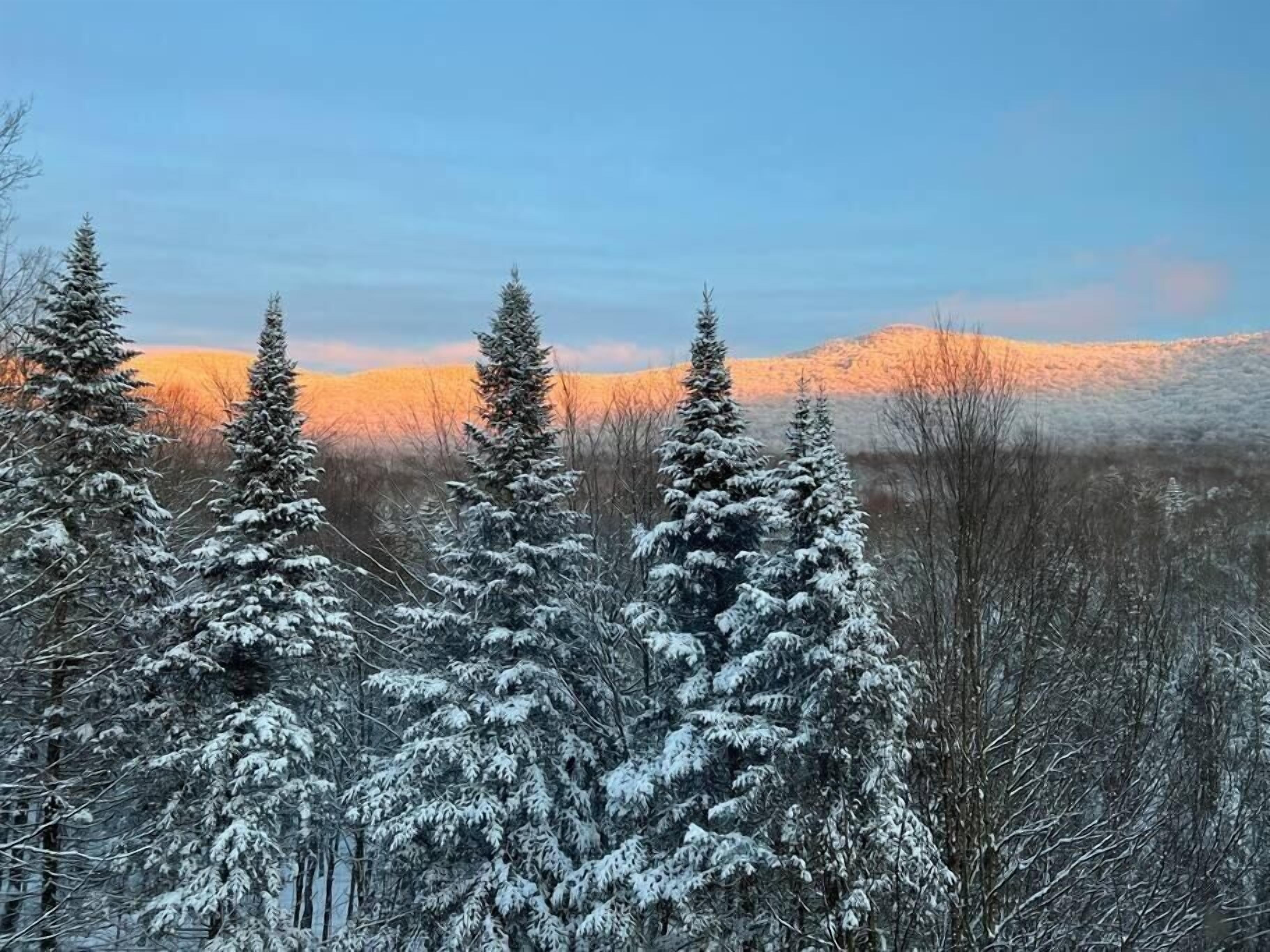 Un paysage enneigé, avec des arbres à feuilles persistantes et une chaîne de montagnes qui se dessine à l’horizon.