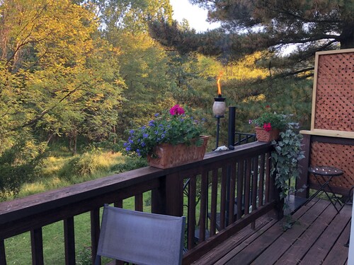 Sunny Peaceful Suburban Washington DC Escape