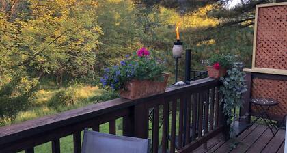 Sunny Peaceful Suburban Washington DC Escape