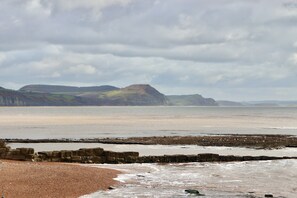 Beach nearby - Cosy cottage in the old town, a stone's throw from Lyme Regis beach (Lyme Regis)