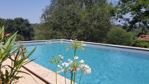 A rectangular swimming pool with clear blue water, surrounded by greenery and trees. - La Maison d'Aum -Perigord Dordogne between Bergerac and Perigueux- 8pers-Pool (Bourrou)