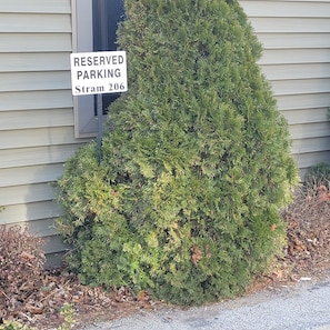 Reserved parking available at Stram 206, with a convenient entrance to the building.