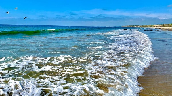 Beach - Eco Beach house (Canoas)