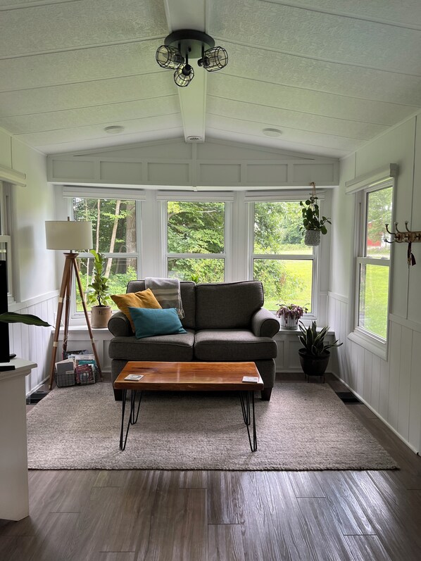 Smart-tv, pejs, bøger