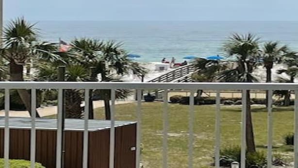 A view of a beach with palm trees, a wooden fence, and a clear sky. - Orange Beach Oasis  (Orange Beach)