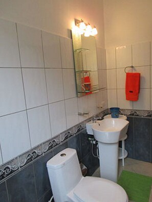 Combined shower/tub, towels, soap, toilet paper