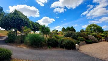 Área da propriedade