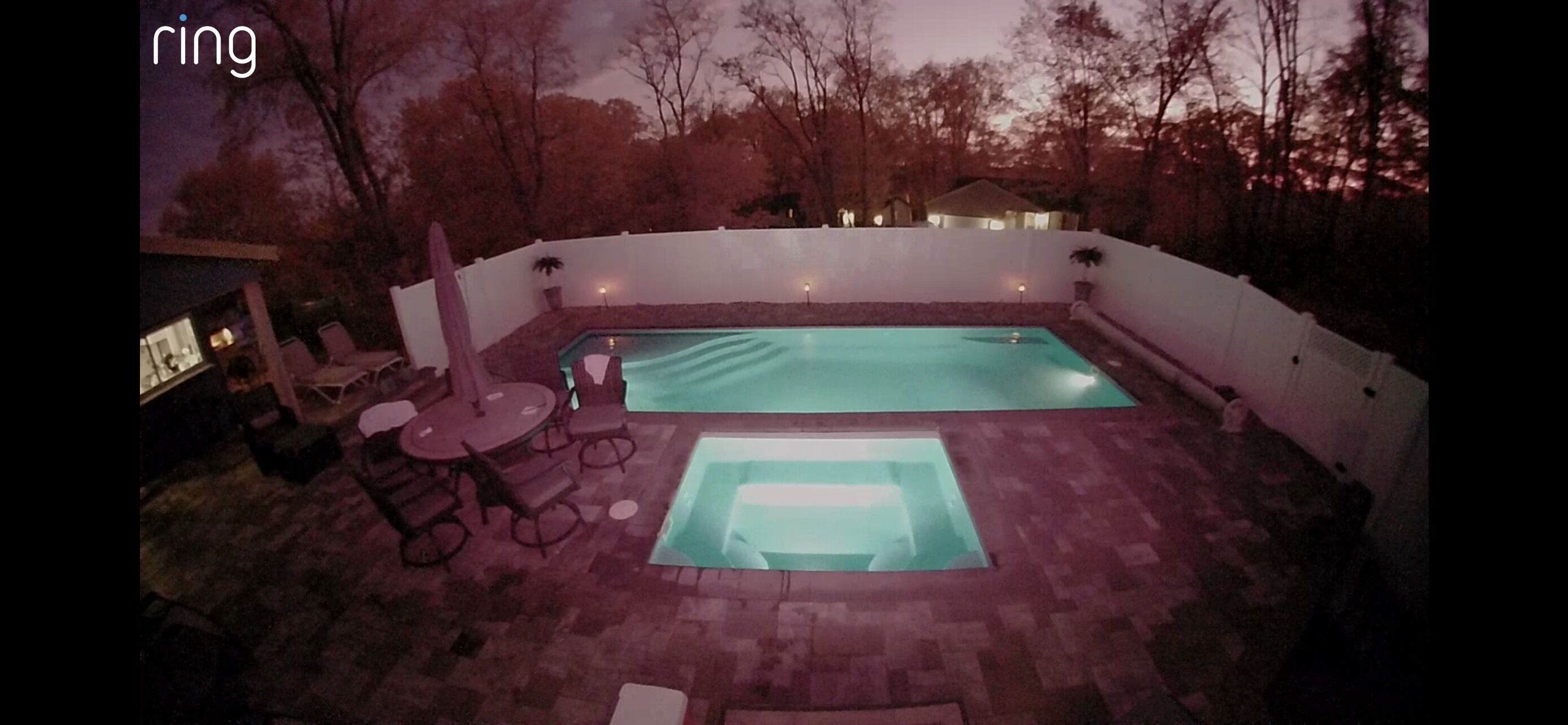 Pool side oasis