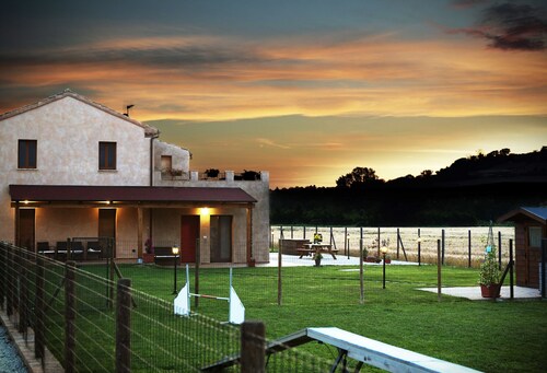 Montefiore House 13 - Sunflowers.  Farmhouse in the Marche countryside