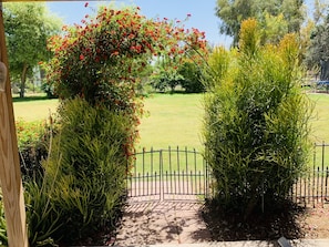 A garden pathway with a metal gate, surrounded by lush greenery and flowering plants.