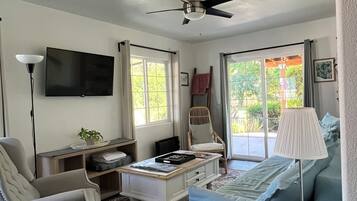 TV connectée, cheminée, livres