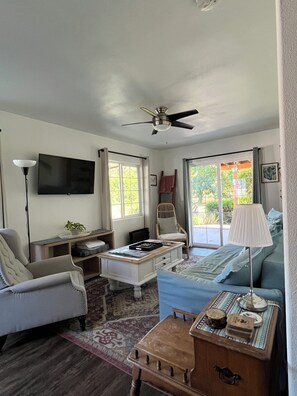 Smart TV, fireplace, books