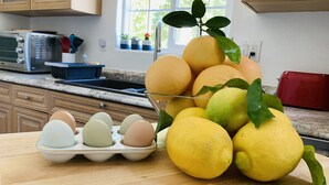 Una cocina con mostrador, pileta, alacenas y ventana.
