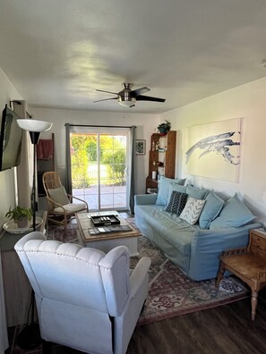 Smart TV, fireplace, books