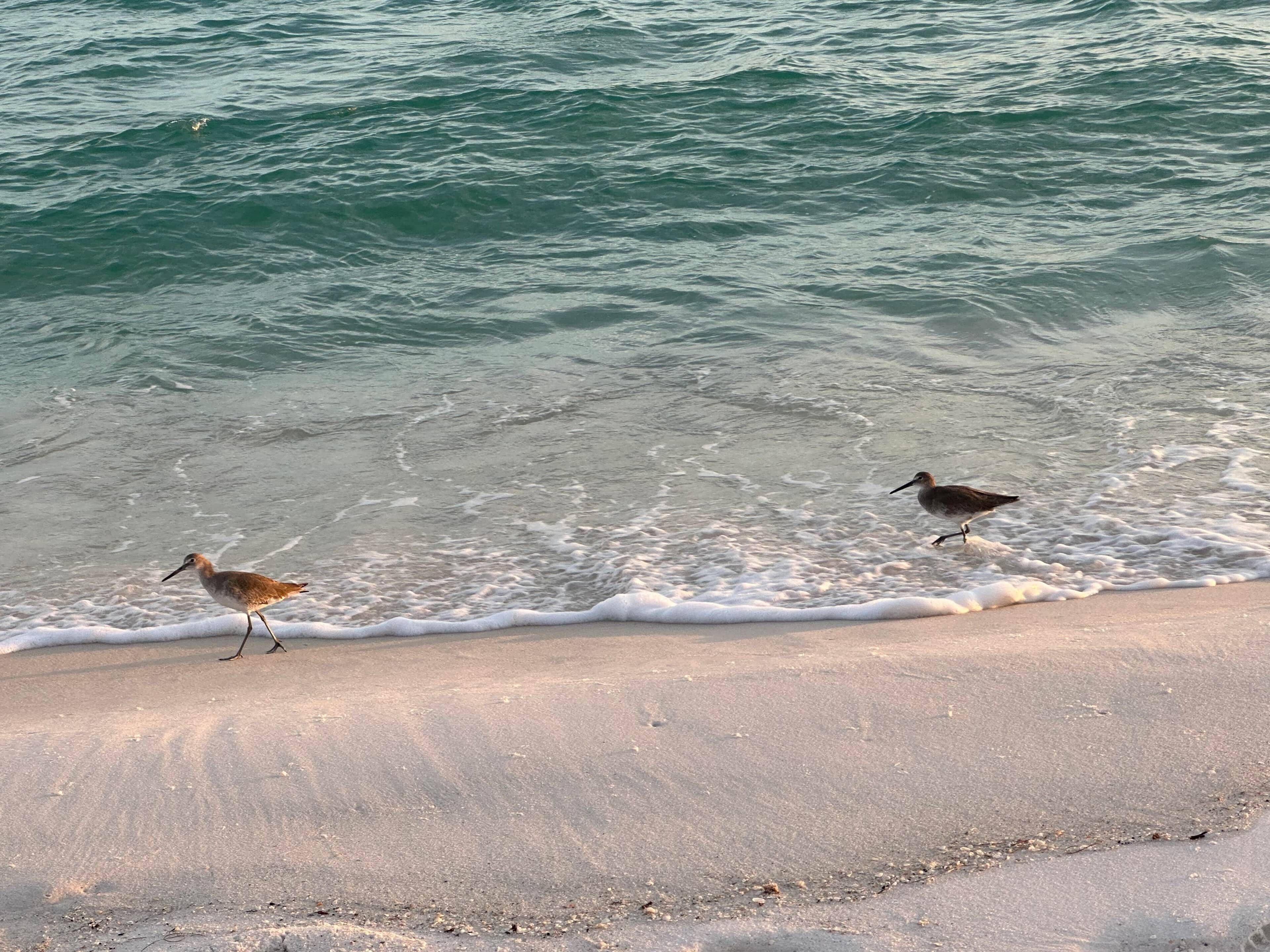On the beach, beach towels