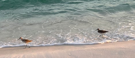 On the beach, beach towels