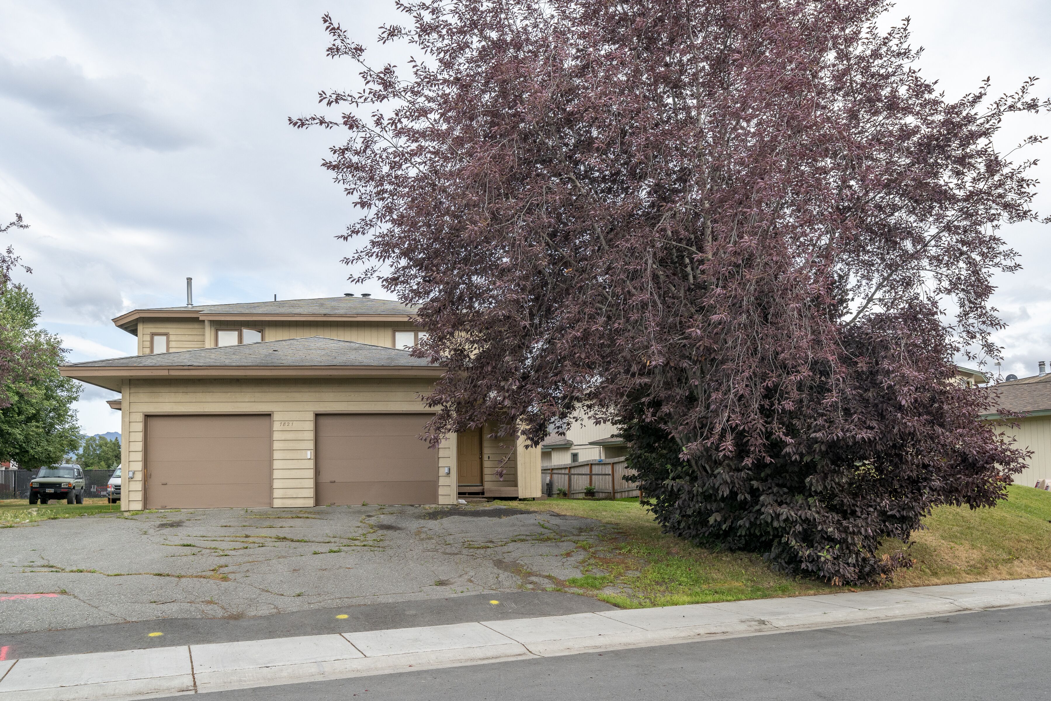 A residential house with a garage, a driveway, and a large tree with purple leaves.