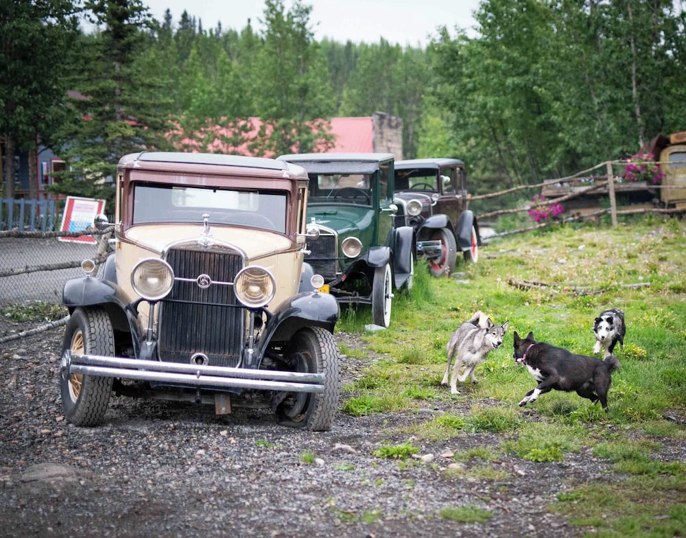 McCarthy Lodge Resort by null