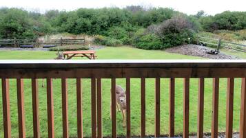 A fenced outdoor area with a picnic table and a deer in the background.