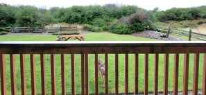 Condo | Garden view