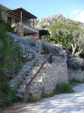 Property grounds - Karystos: Charming Old Stone Cottage in peaceful mountain village  (Euboea)