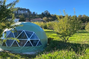 A geodesic dome tent in a grassy field with trees and a house in the background.
